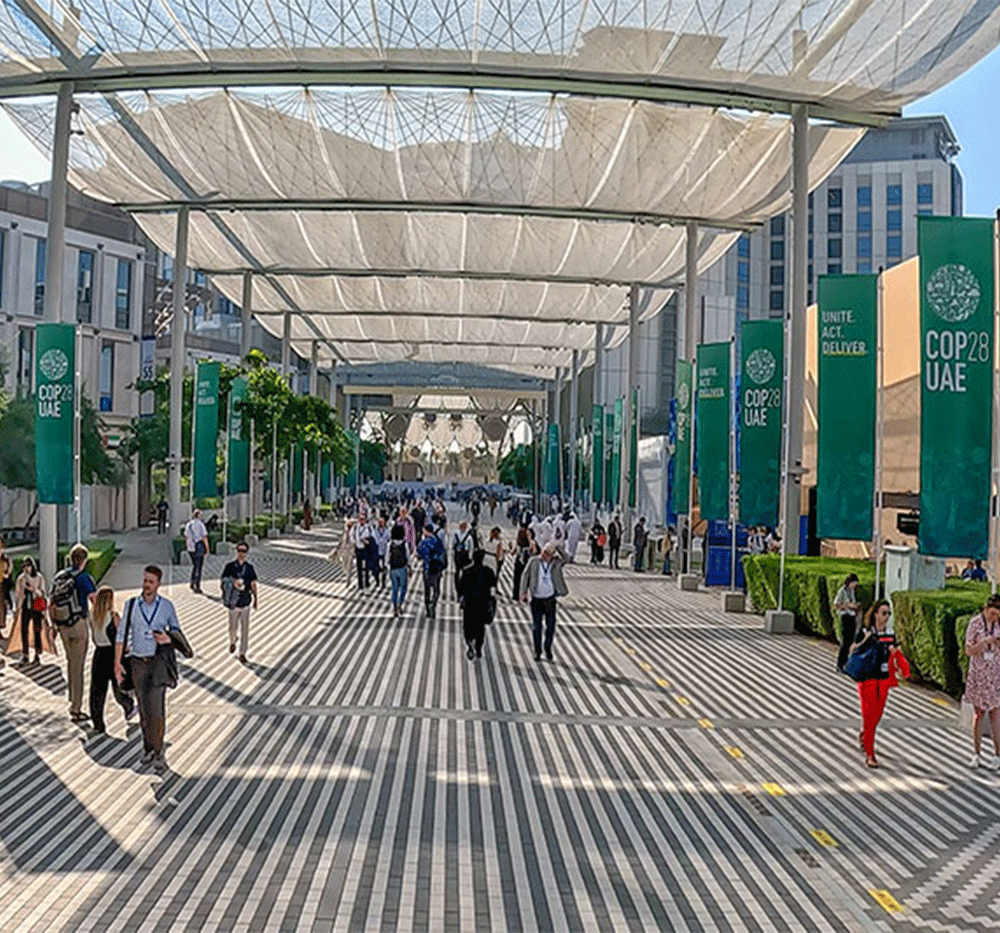 GCC and GORD conclude successful participation at COP28 - Global Carbon ...